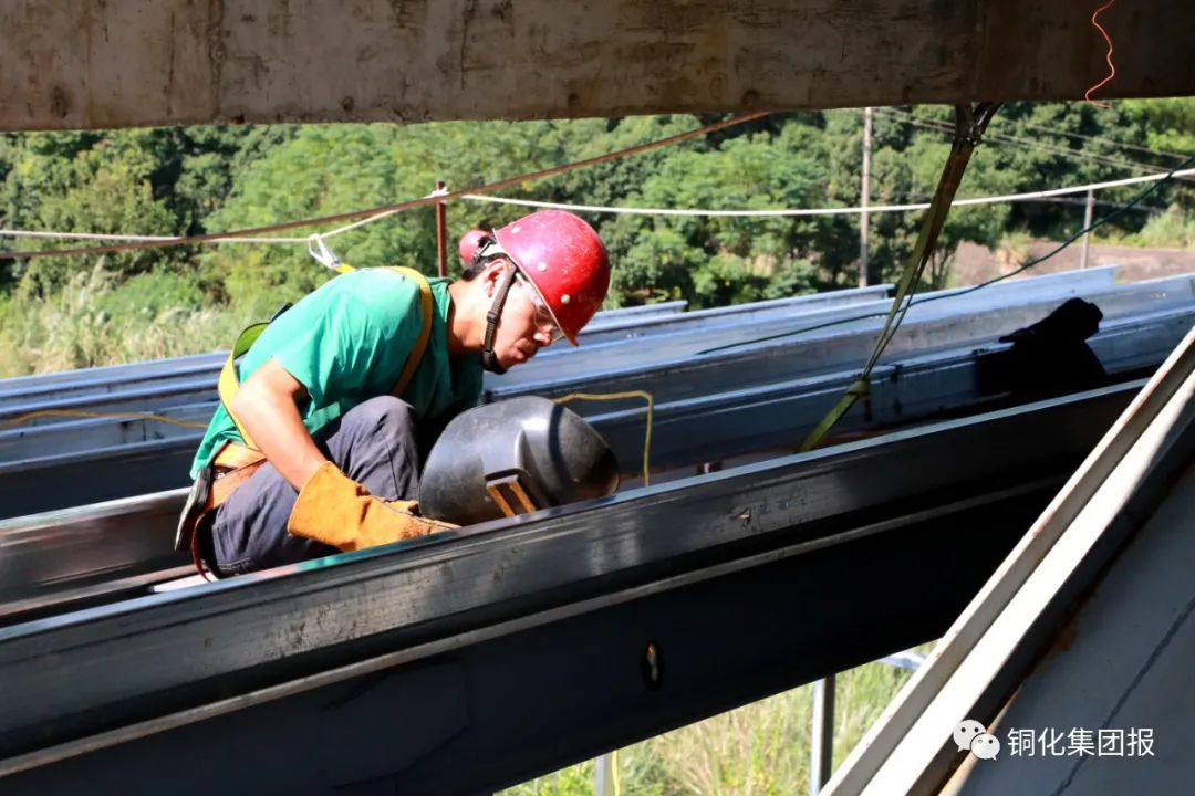 威尼斯87978797(中国)老品牌-官方网站