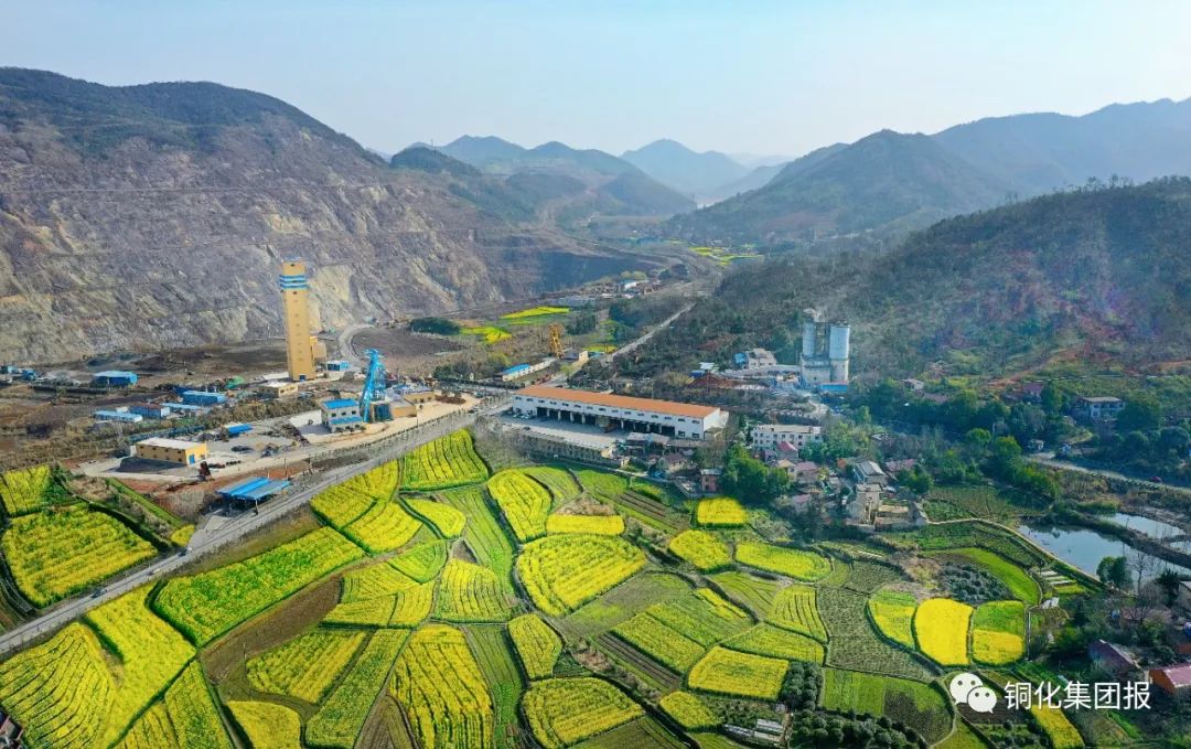 威尼斯87978797(中国)老品牌-官方网站