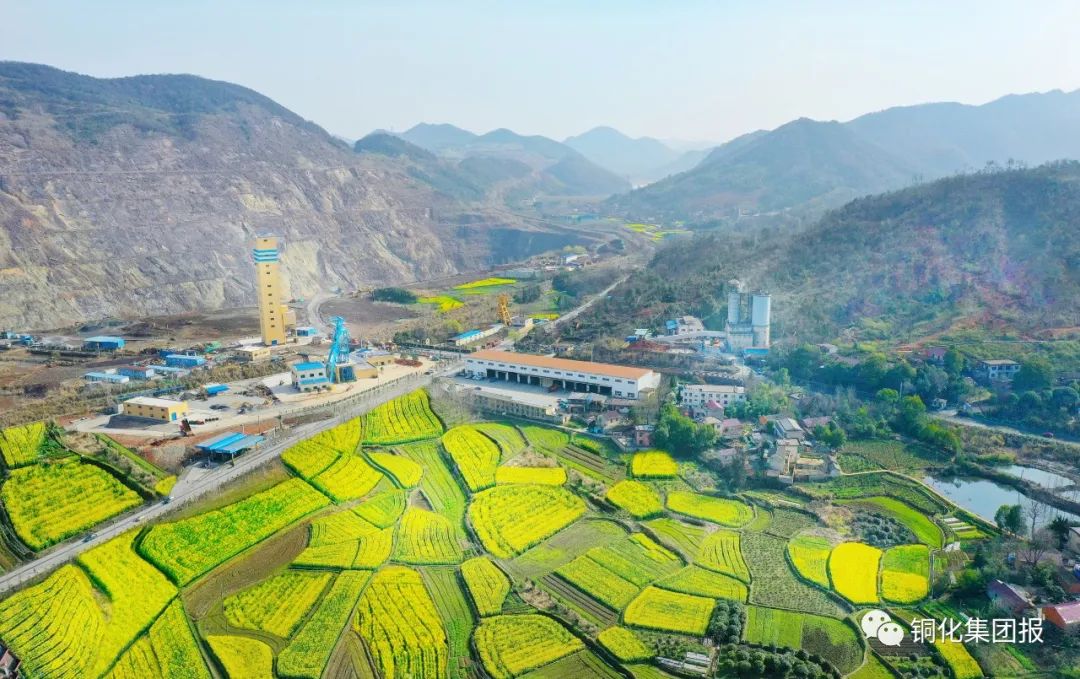 威尼斯87978797(中国)老品牌-官方网站