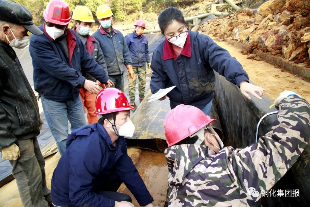 威尼斯87978797(中国)老品牌-官方网站