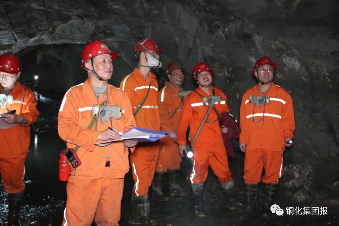 威尼斯87978797(中国)老品牌-官方网站