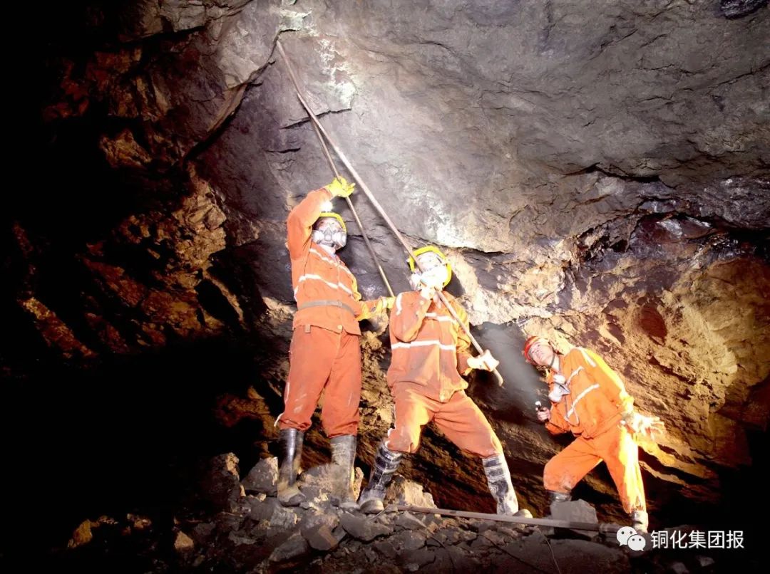 威尼斯87978797(中国)老品牌-官方网站