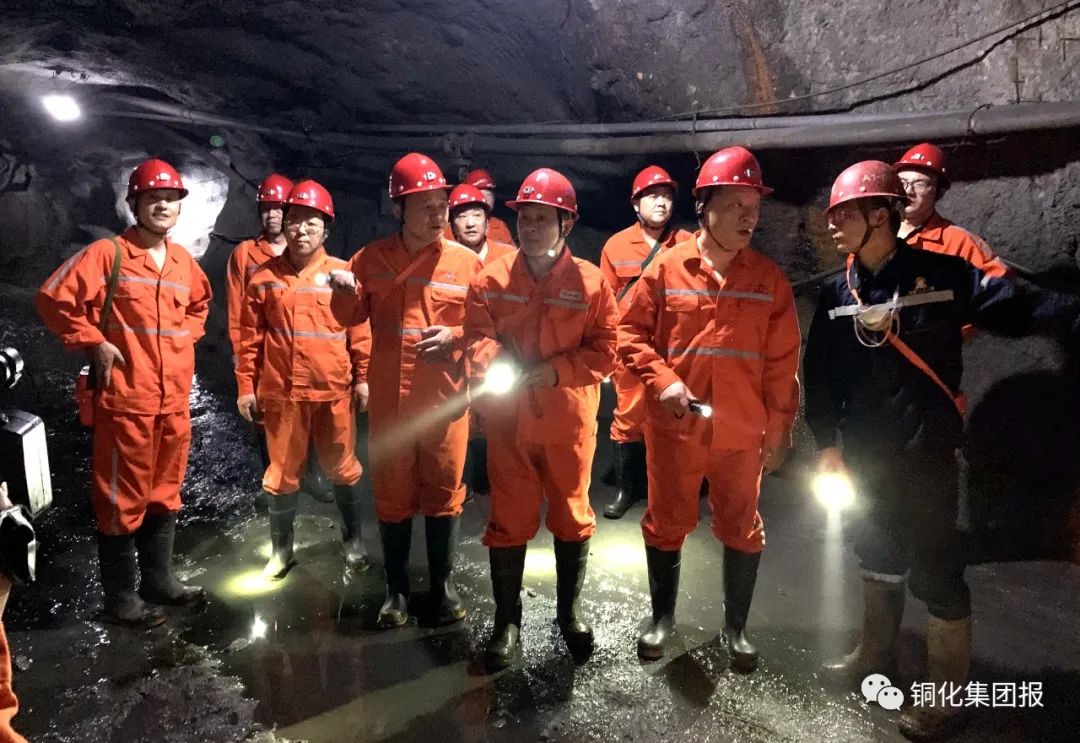 威尼斯87978797(中国)老品牌-官方网站