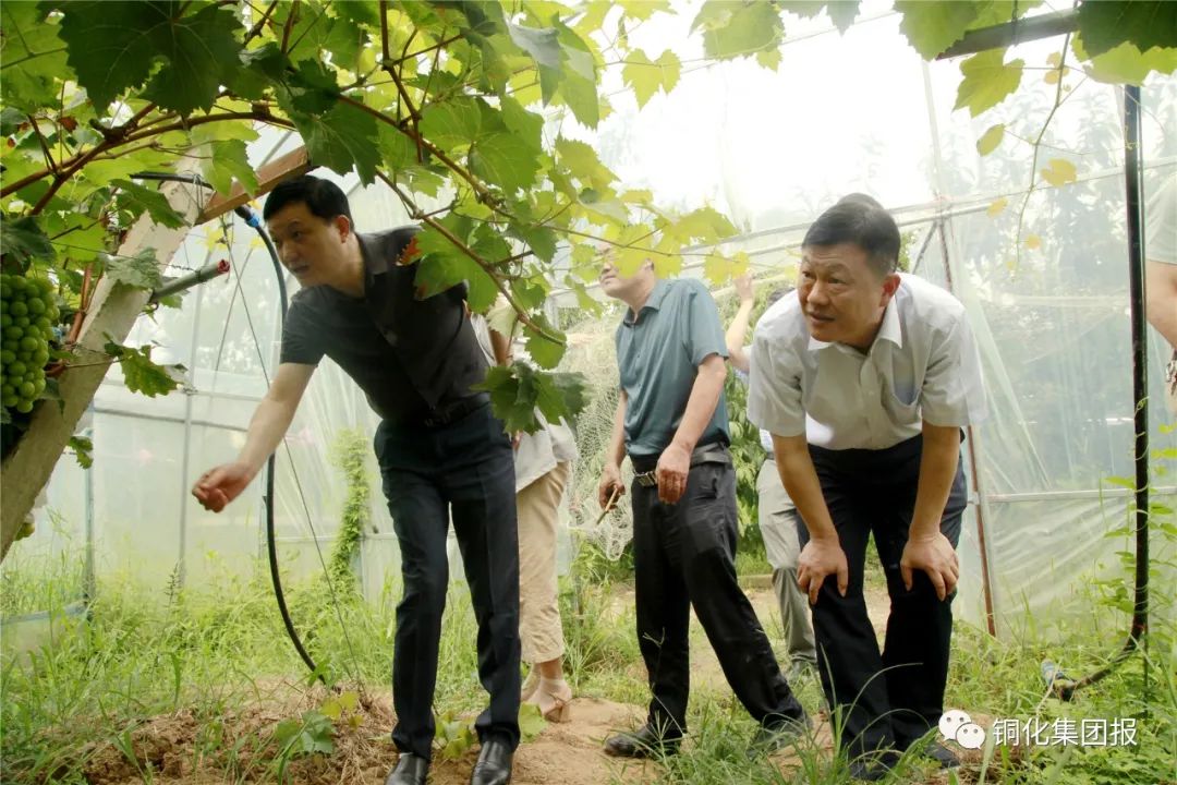 威尼斯87978797(中国)老品牌-官方网站