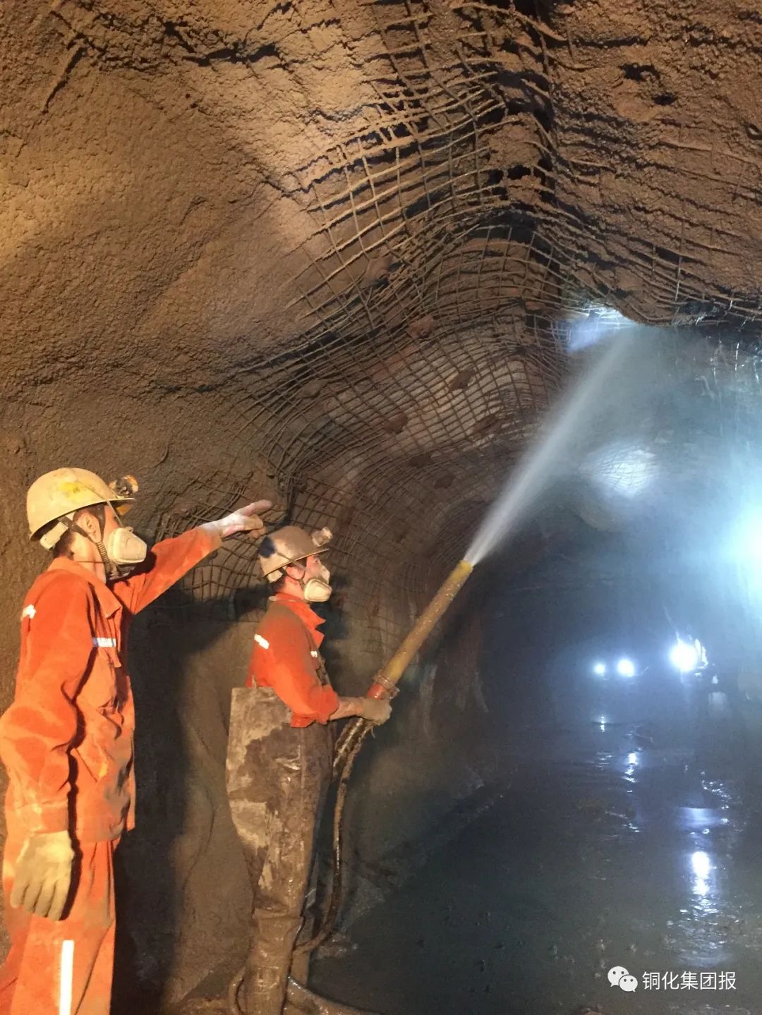 威尼斯87978797(中国)老品牌-官方网站