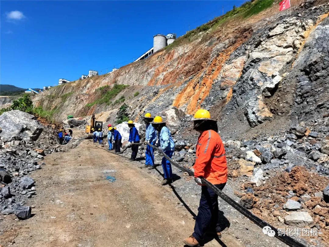 威尼斯87978797(中国)老品牌-官方网站