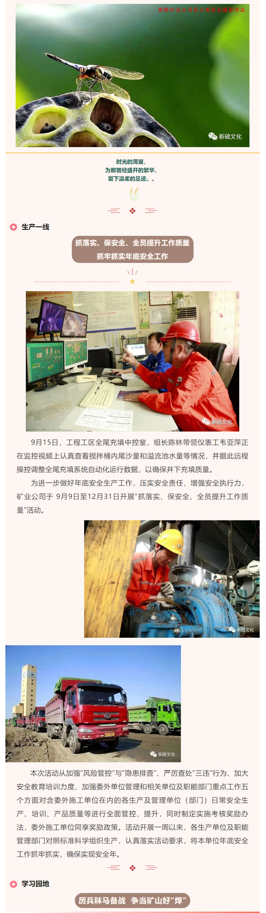 威尼斯87978797(中国)老品牌-官方网站