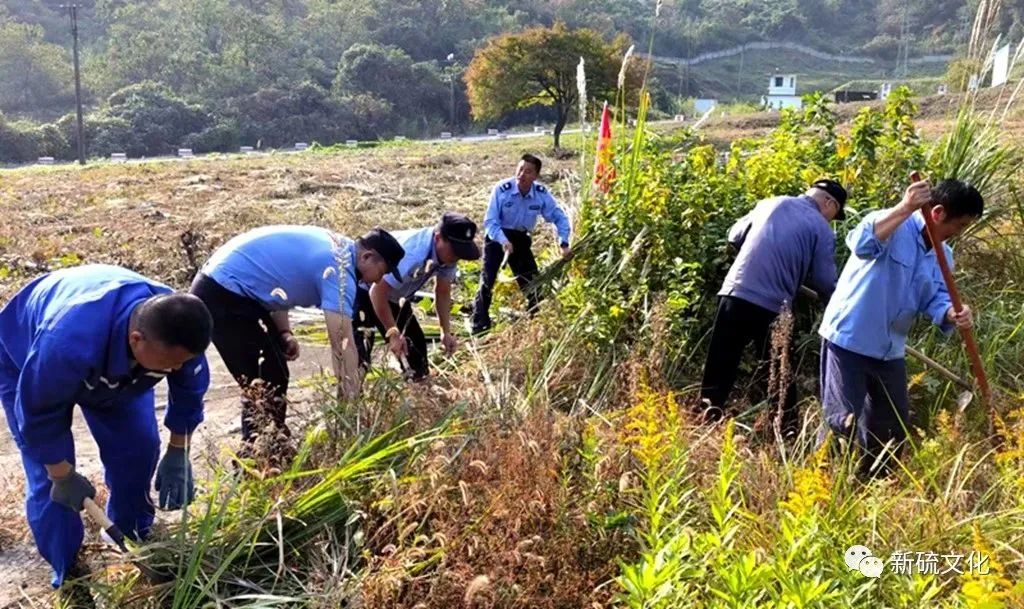 威尼斯87978797(中国)老品牌-官方网站