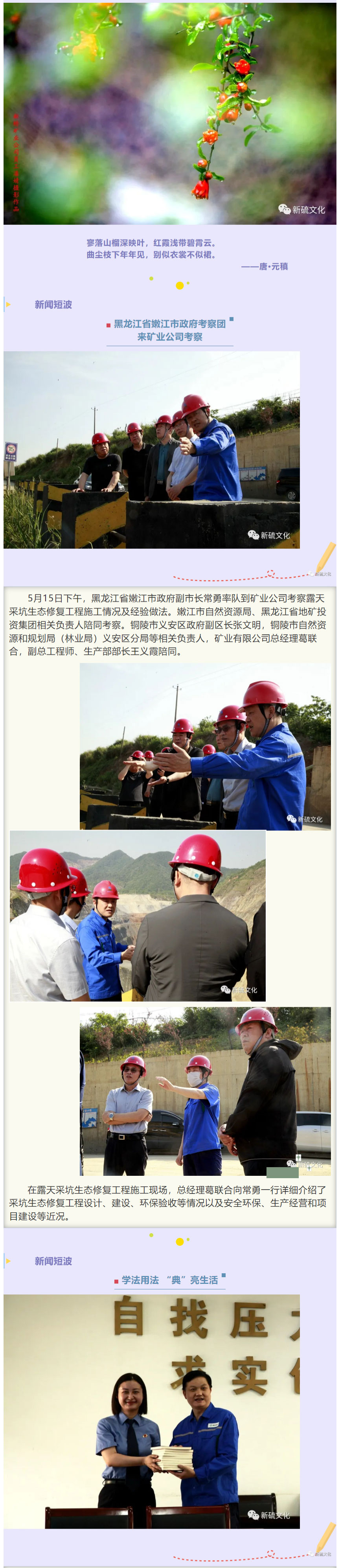 威尼斯87978797(中国)老品牌-官方网站