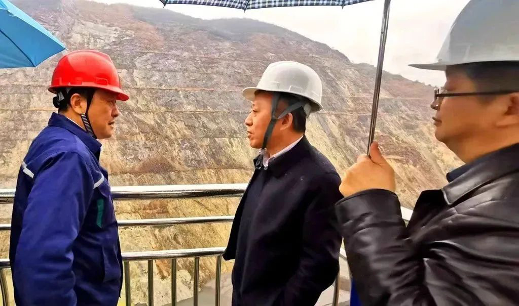 威尼斯87978797(中国)老品牌-官方网站