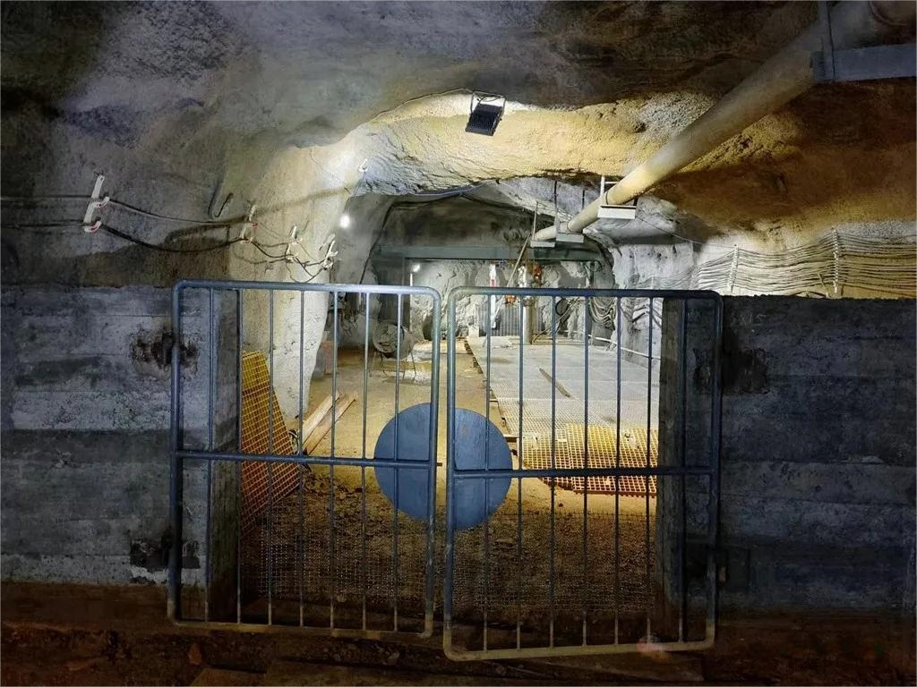 威尼斯87978797(中国)老品牌-官方网站