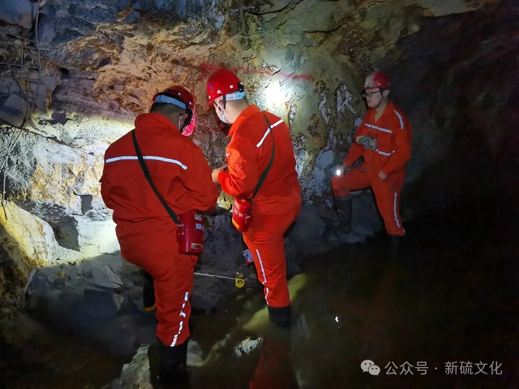 威尼斯87978797(中国)老品牌-官方网站