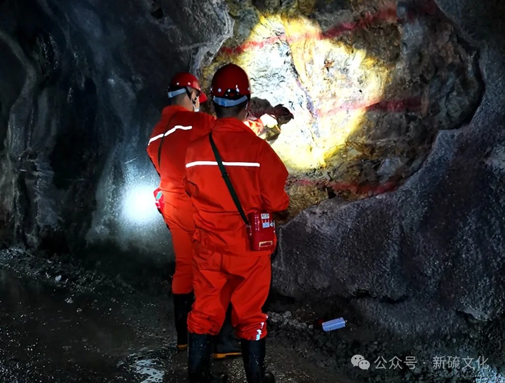 威尼斯87978797(中国)老品牌-官方网站