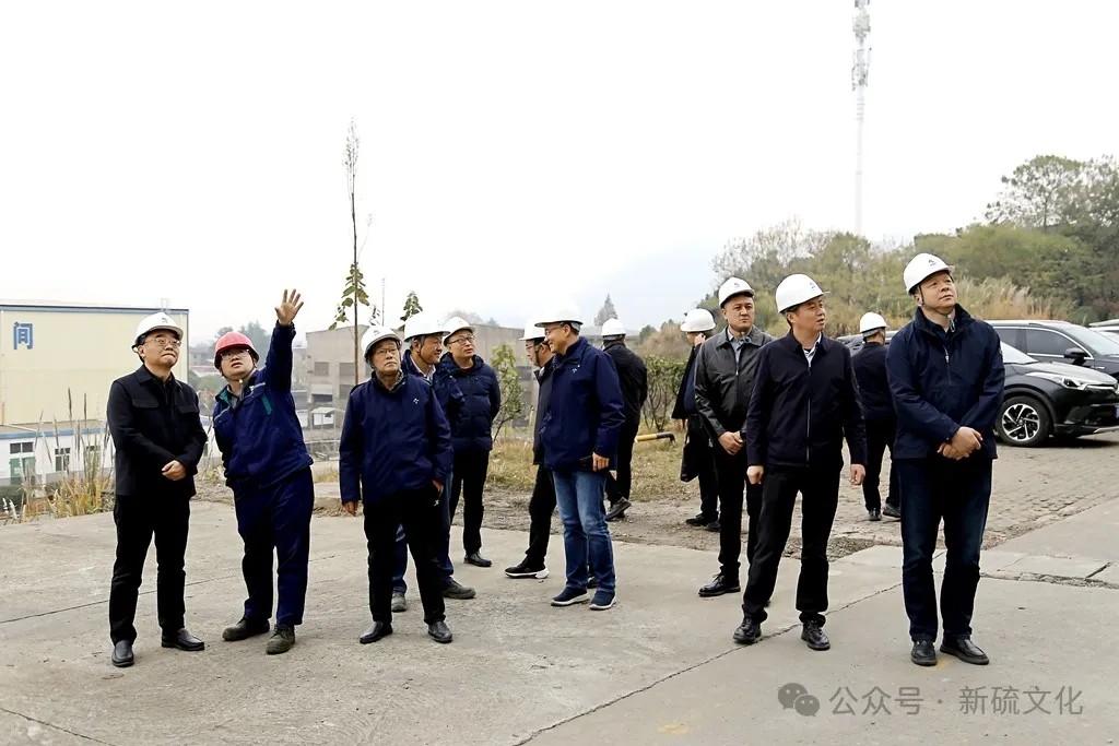 威尼斯87978797(中国)老品牌-官方网站