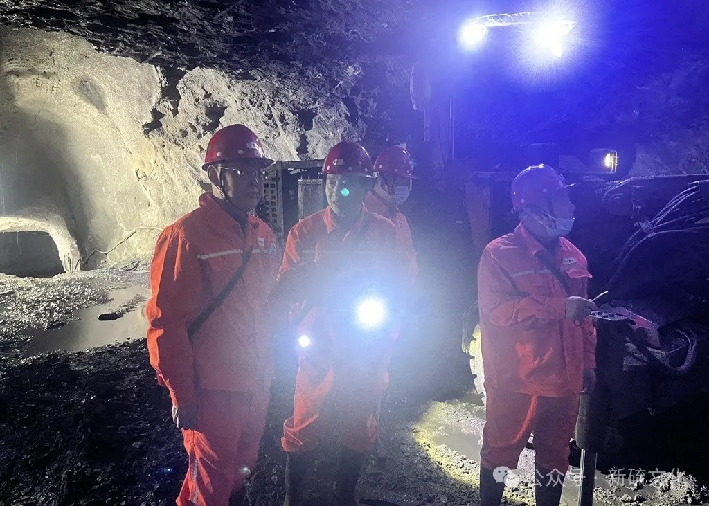 威尼斯87978797(中国)老品牌-官方网站