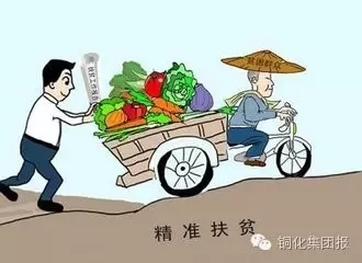 威尼斯87978797(中国)老品牌-官方网站