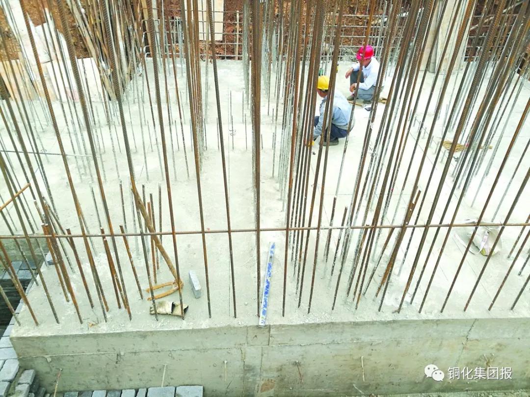 威尼斯87978797(中国)老品牌-官方网站