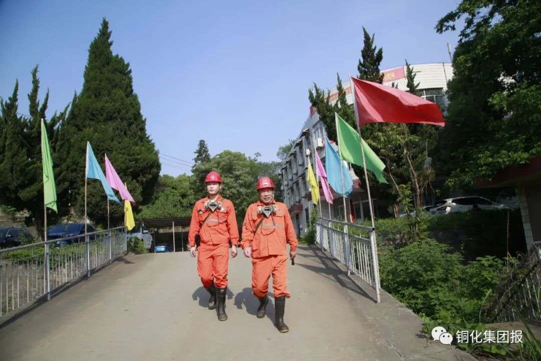 威尼斯87978797(中国)老品牌-官方网站