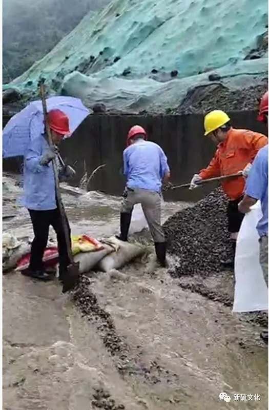 威尼斯87978797(中国)老品牌-官方网站