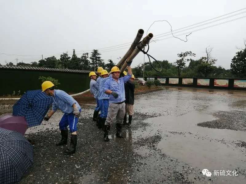 威尼斯87978797(中国)老品牌-官方网站