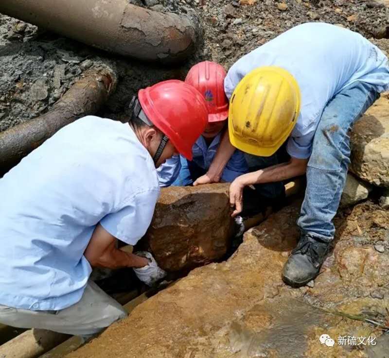 威尼斯87978797(中国)老品牌-官方网站