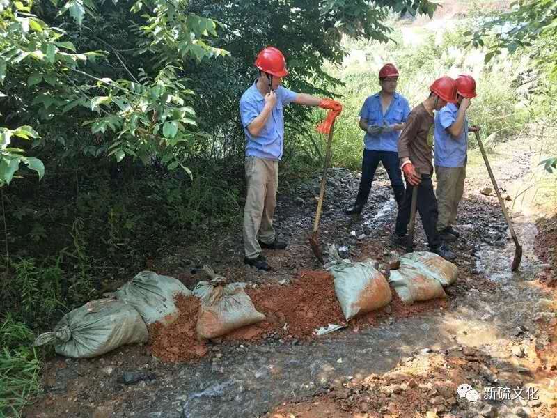 威尼斯87978797(中国)老品牌-官方网站