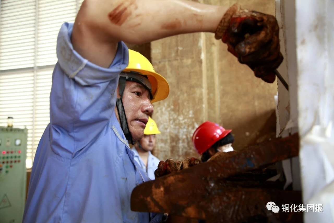 威尼斯87978797(中国)老品牌-官方网站