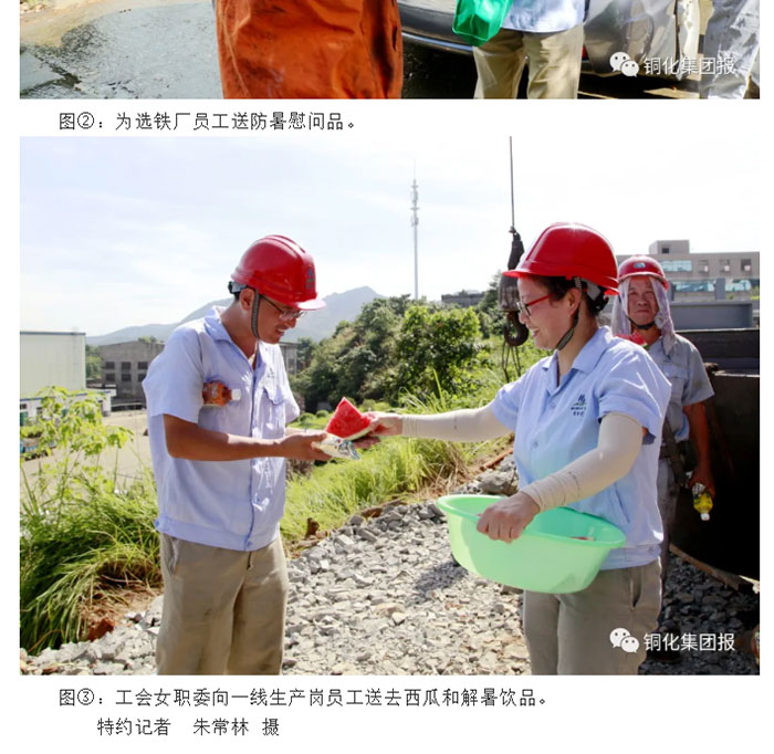 威尼斯87978797(中国)老品牌-官方网站