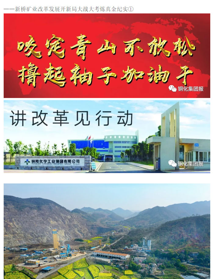 威尼斯87978797(中国)老品牌-官方网站