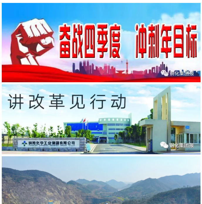 威尼斯87978797(中国)老品牌-官方网站