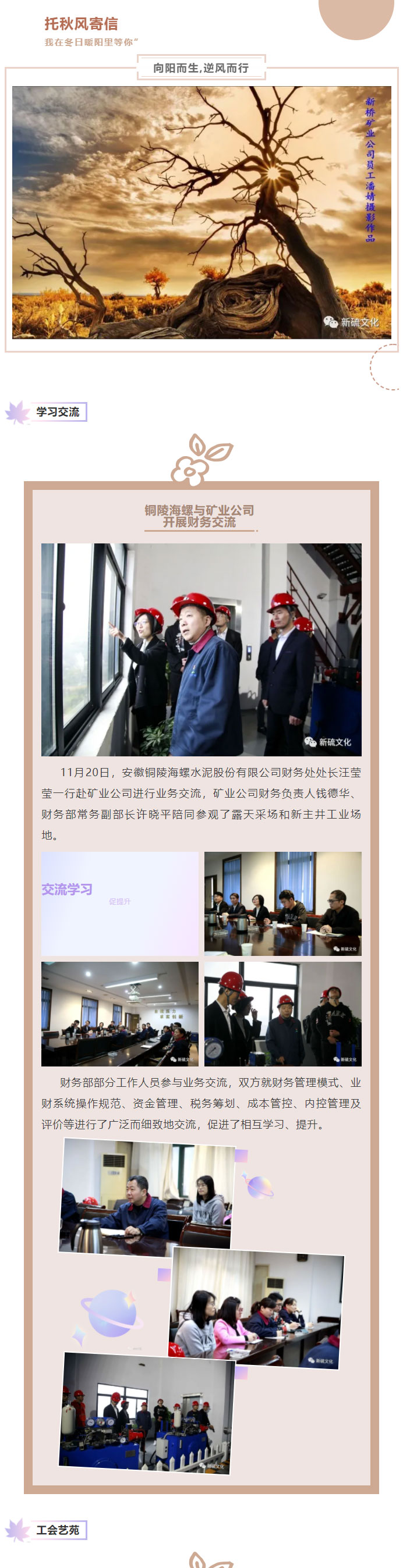 威尼斯87978797(中国)老品牌-官方网站