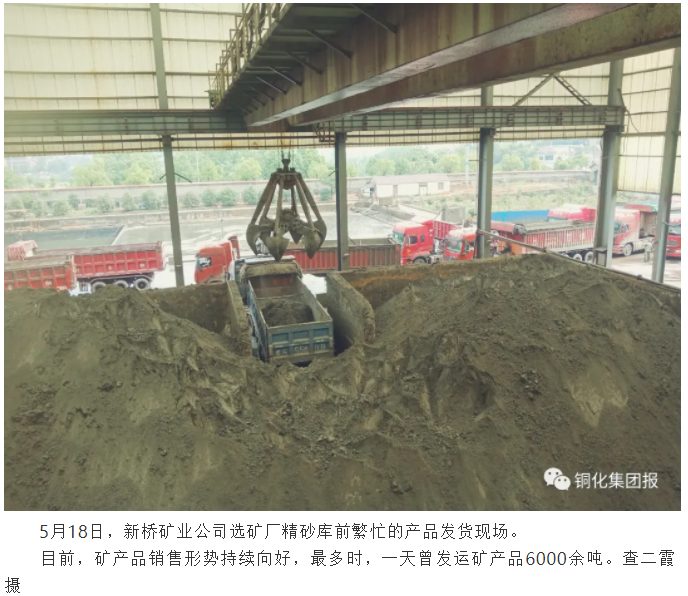 威尼斯87978797(中国)老品牌-官方网站