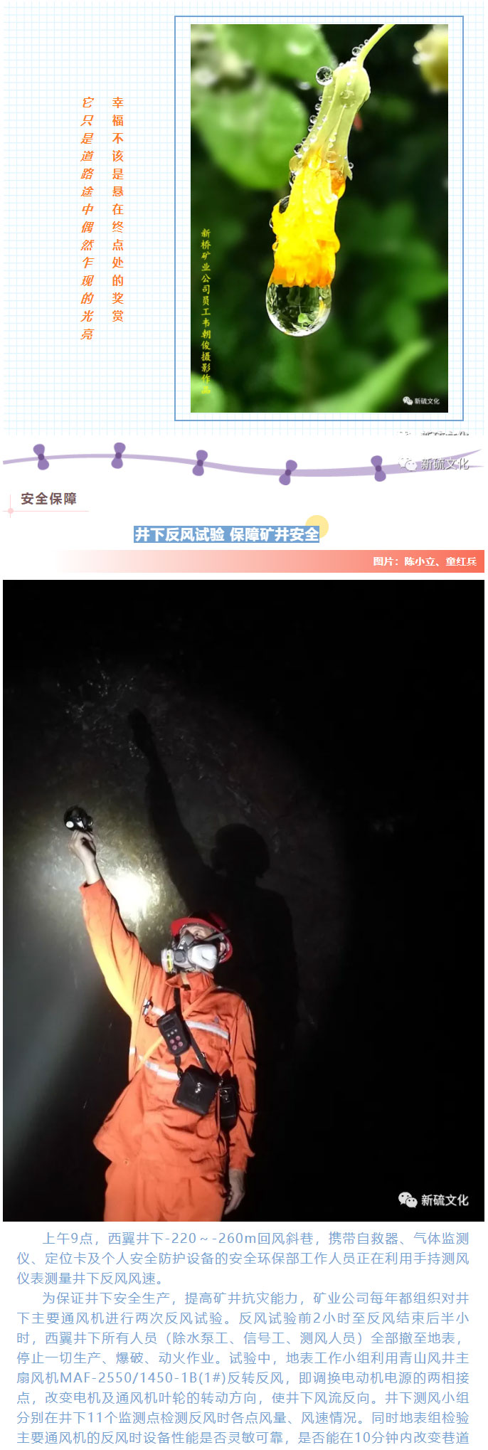 威尼斯87978797(中国)老品牌-官方网站